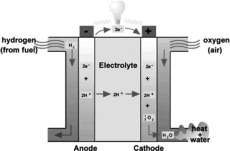 Schematic representation of working principle of PEMFC. | Download ...