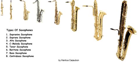 Different Types of Saxophones