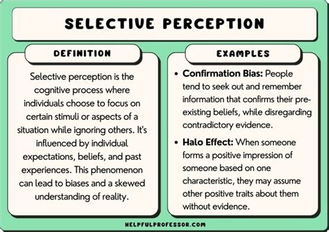 15 Selective Perception Examples (2024)