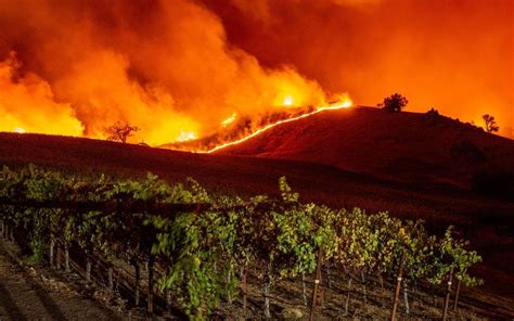 What Causes California Wildfires? | California Fires Explained