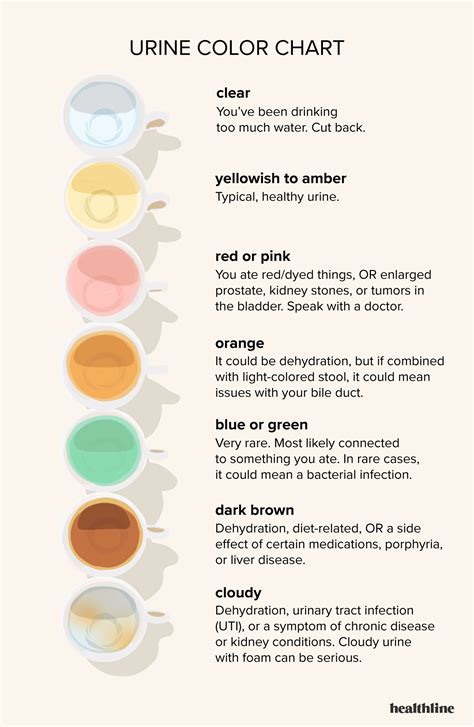 Urine Color Chart: What’s Normal and When to See a Doctor in 2022 ...