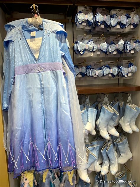 We Spotted the NEW Frozen 2 Anna and Elsa Costumes CHILLIN' at Disney ...