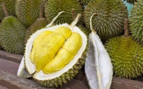 Durian Monthong Whole - Toko Indonesia