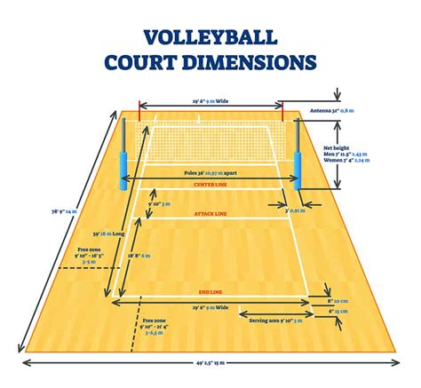 Volleyball Court Dimensions - What You Should Know - Homenish