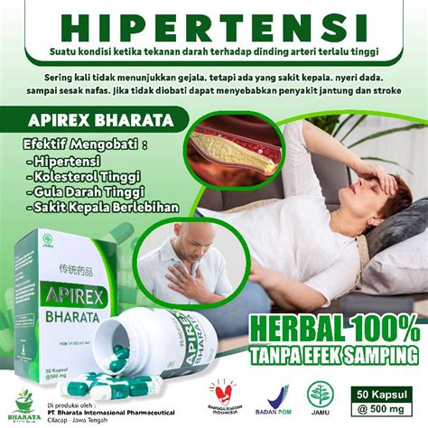 Jual Obat Hipertensi | Obat Darah Tinggi Herbal | Ampuh | Apirex ...