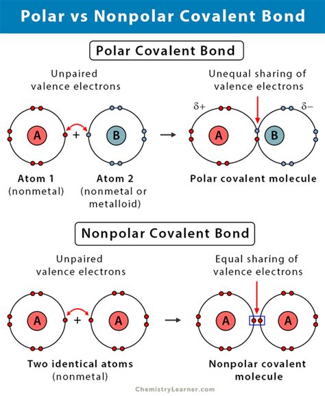 Nonpolar Covalent Bond