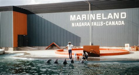 Marineland Canada Niagara Falls - All You Need To Know 2024