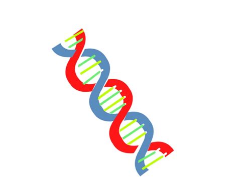 Science Animated Clipart-dna helix animated clipart 2