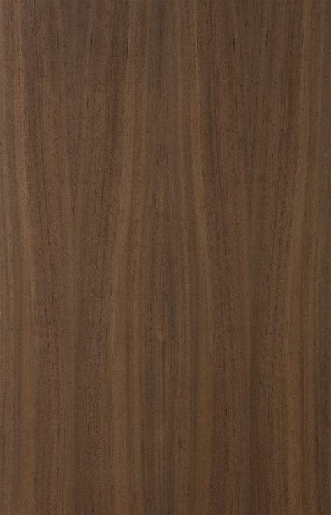 Bugged Oak | Walnut wood texture, Walnut texture, Wood texture