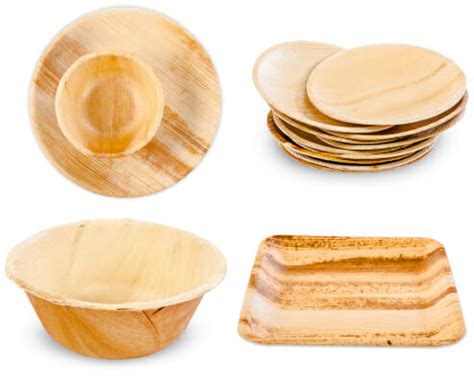 7 Unique Palm Leaf Disposable Plates You Need to Defeat Plastic