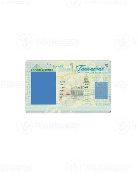 blank tennessee driver license template 23627160 Stock Photo at Vecteezy