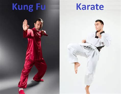 Key Differences Between Kung Fu and Karate – Difference Camp