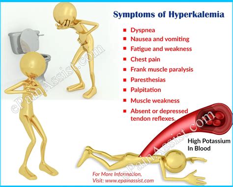 High Potassium Hyperkalemia Symptoms Causes And Prevention - Mobile Legends