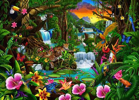 Beautiful Rainforest by MGL Meiklejohn Graphics Licensing in 2021 ...