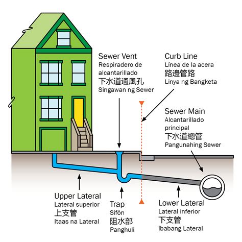 Sewer Laterals