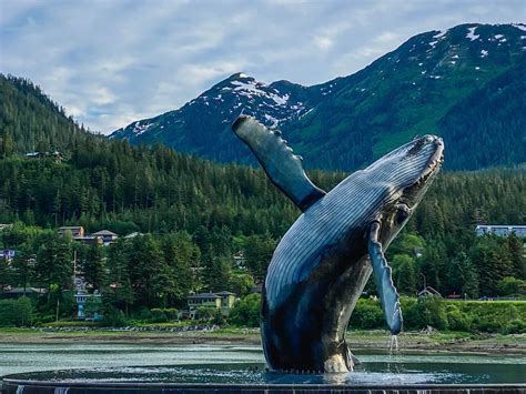 12 Best Things to Do in Juneau, Alaska — Handpicked Alaska