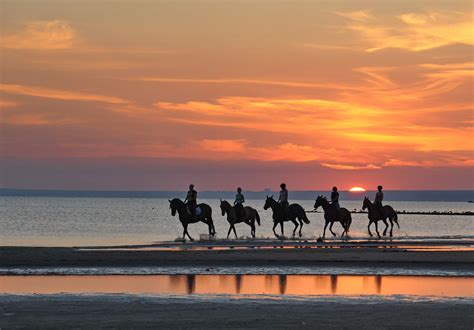 Where to Go Horseback Riding in North Myrtle Beach