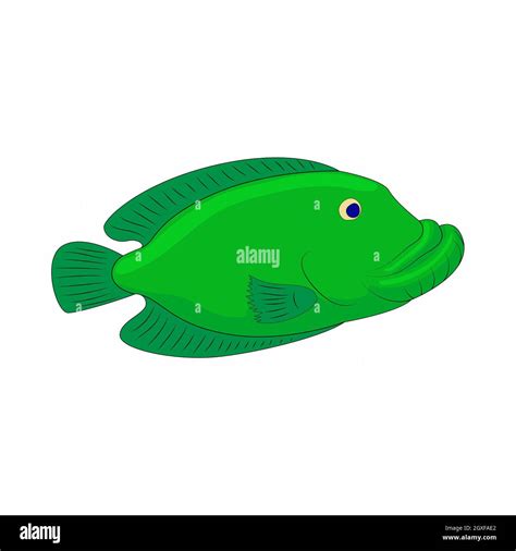 Green fish icon in cartoon style on a white background Stock Photo - Alamy