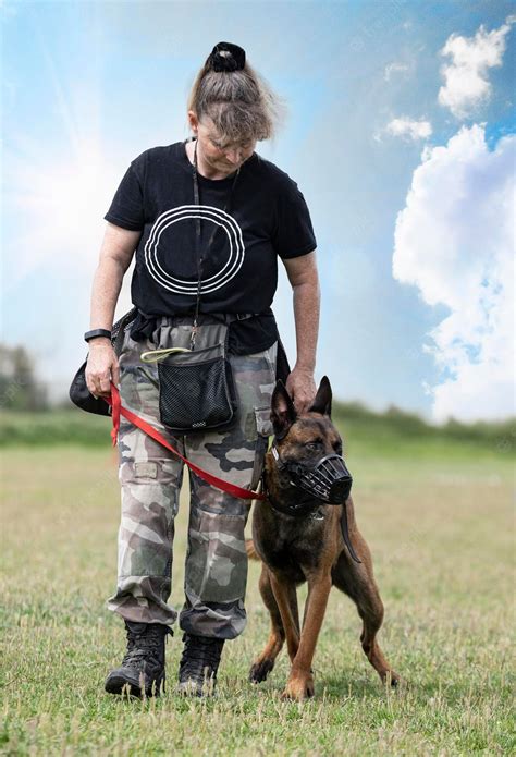 Premium Photo | Training of belgian shepherd