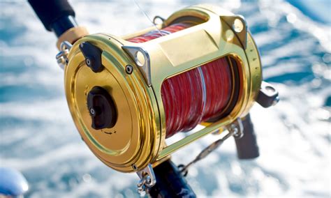 7 Best Saltwater Fishing Reels - AquaViews