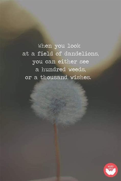 Let's make lots of wishes! | Dandelion quotes, Wish quotes, Beautiful ...