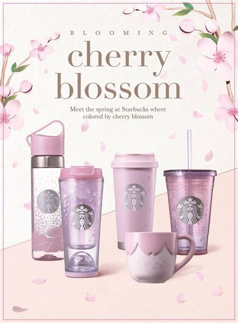 Starbucks Korea 2017 Cherry Blossom 2nd Batch Release Info | Sneak peek ...