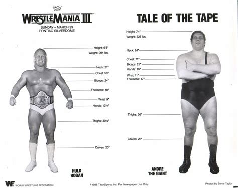 Pin by Andrew Kang on Sports | Wwf superstars, Wrestling superstars ...