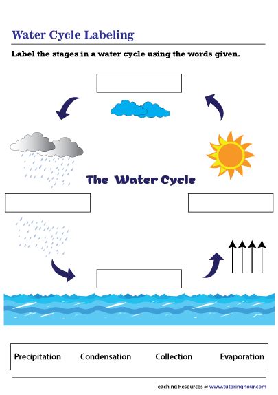 Water Cycle Labeling Worksheet