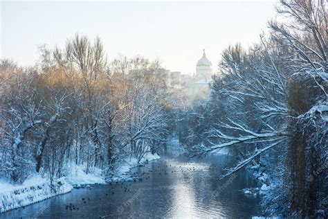 Premium Photo | River in winter park