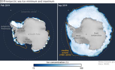 Antarctica: Biome - Revision Cards in A Level and IB Environmental ...