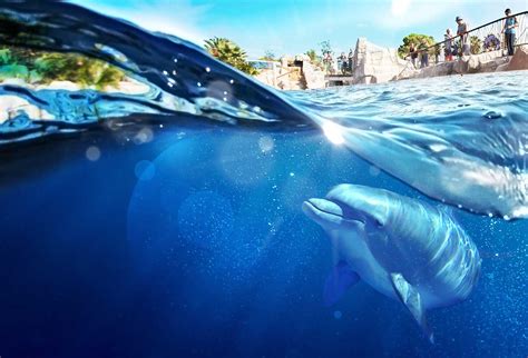 Marineland in Antibes - the largest marine animal park in Europe