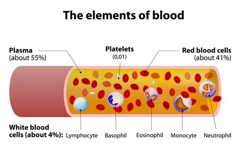 Blood Platelets Not Seen as Cause of Inflammation in CF