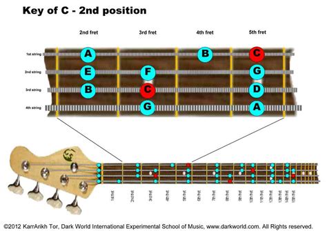 Key of C Major 2nd fret Position on Bass Guitar