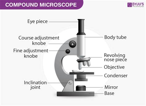 Compound Microscope: Parts of Compound Microscope