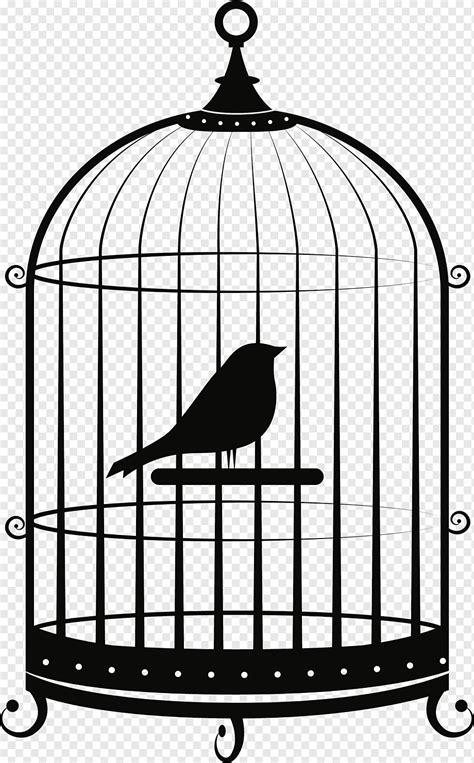 Birdcage Parrot, Bird, furniture, animals, pet png | PNGWing