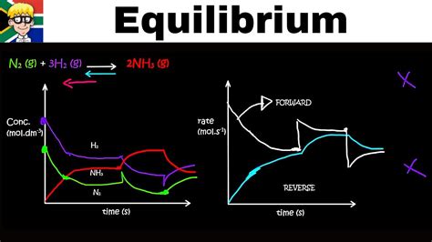 Equilibrium Graphs grade 12: Concentration - YouTube