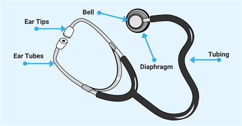 Top 7 Parts of a Stethoscope Labeled (2023 Explained)