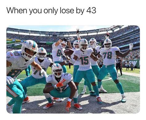 The 25 Funniest Miami Dolphins Memes, Ranked