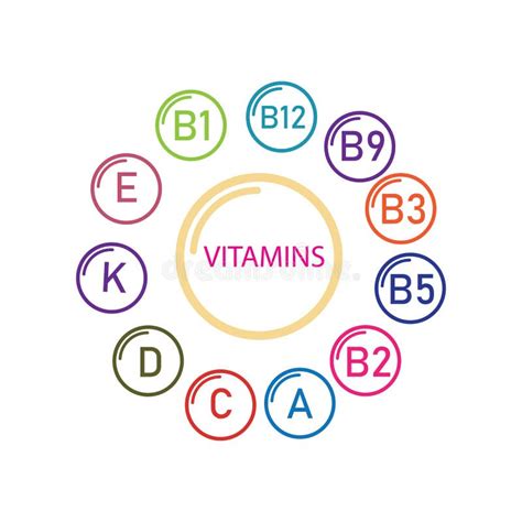 Vitamins stock vector. Illustration of nutrition, hold - 171266427