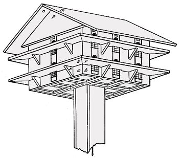 Purple Martin Bird House Plans PDF Woodworking