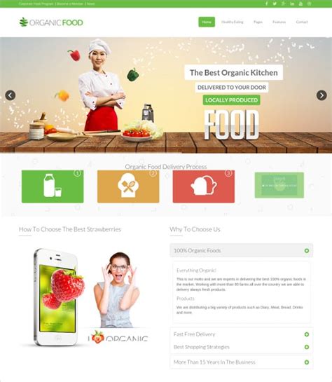 29+ Grocery Store Website Themes & Templates | Free & Premium Templates