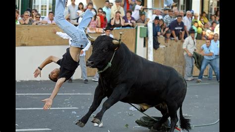 Mexico Funny Bull Fight - YouTube