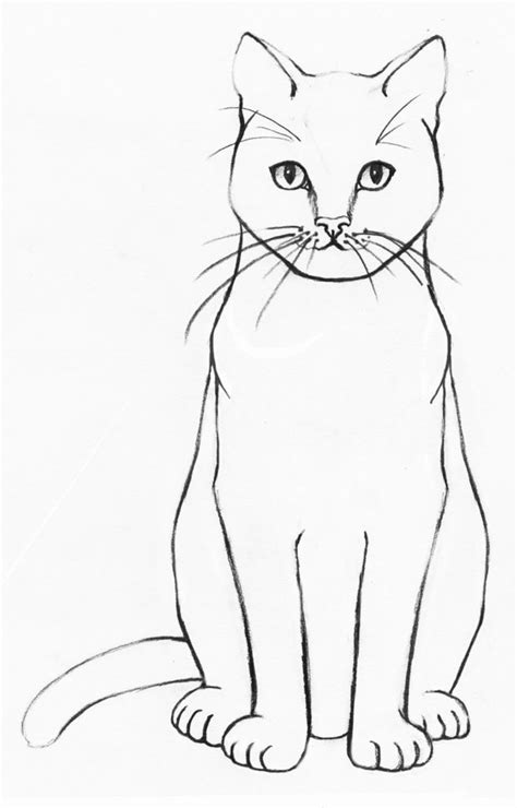 How to Draw a Realistic Cat Step-by-step - Udemy Blog