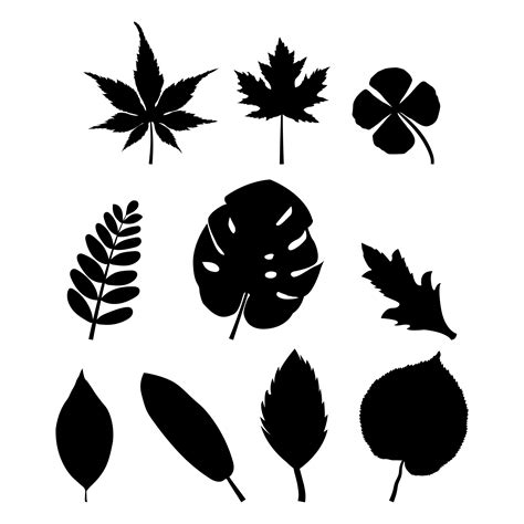 Leaf Silhouette Vector Art, Icons, and Graphics for Free Download