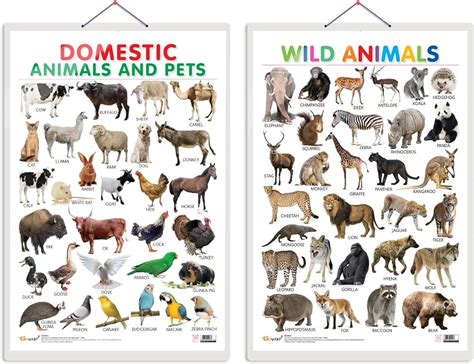 Wall Charts Big 58x90 Cm Wild Animals EKW0235 Extrokids, 52% OFF