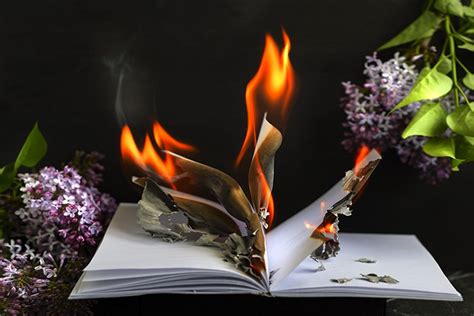 book is burning (600513)