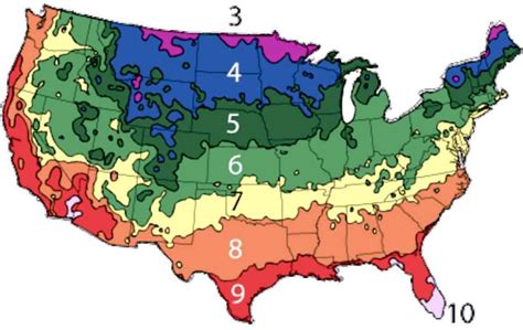 Planting Zones By Zip Code Tutorial Pics | The Best Porn Website