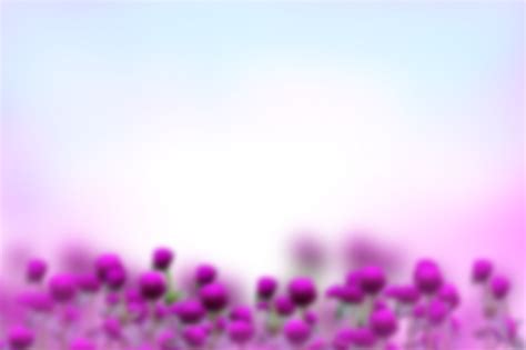 🥇 Image of Painted Flowers Overlay PNG - 【FREE PHOTO】 100034341