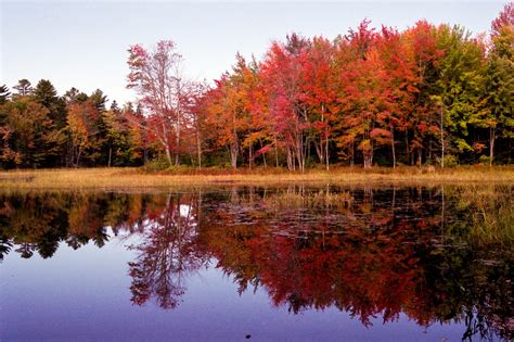 A Scenic Foliage Drive in Maine - Dane's Photography