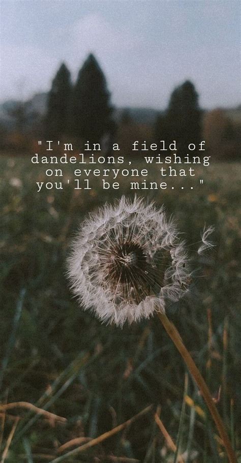 Dandelions wallpaper | Dandelion wallpaper, Dandelion pictures ...